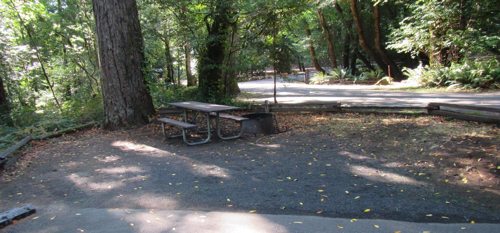 Site includes picnic table with fire ring and views of the river