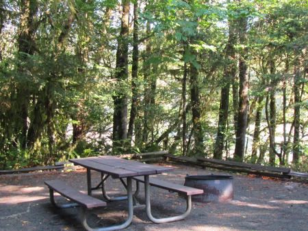 Site includes picnic table and fire ring with view of the river, parking spur length is 44' 