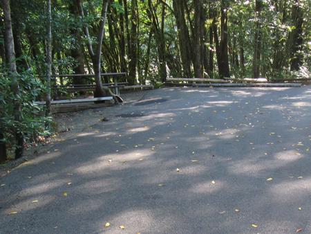 Site includes a 57' parking spur, picnic table and fire ring