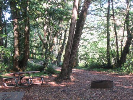 Group picnic area with fire ring and multiple picnic tables, very close to the river