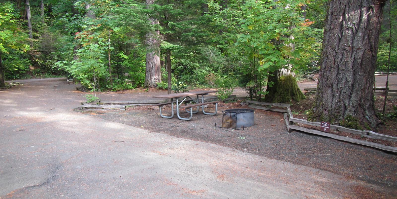 Site includes picnic table and fire ring