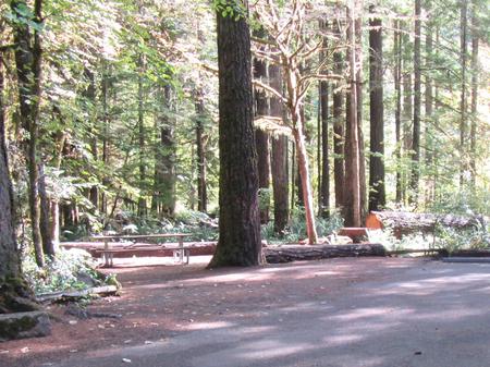 View of whole campsite with parking spur measuring 55'X13'site 22