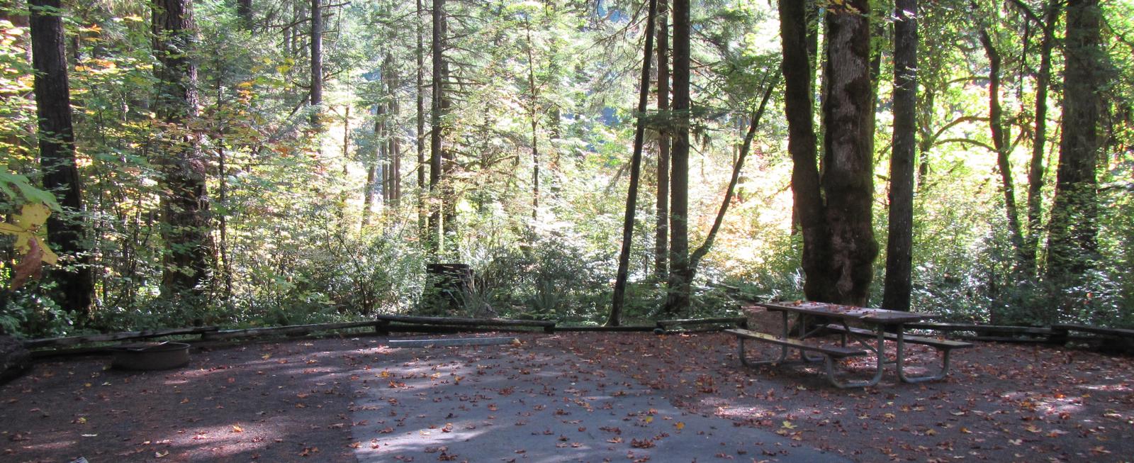 Picnic table and fire ring, access to river trail