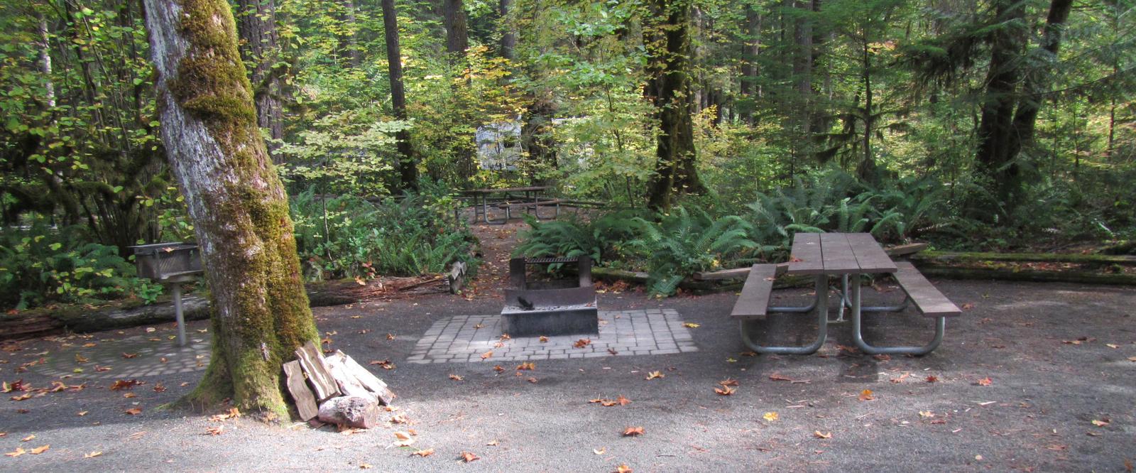Grill, fire pit, picnic table with trail leading to site #23