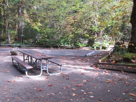 Picnic table and fire ring looking towards other camp sites