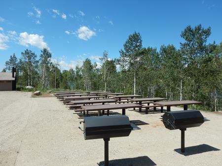 Grills and Picnic tables