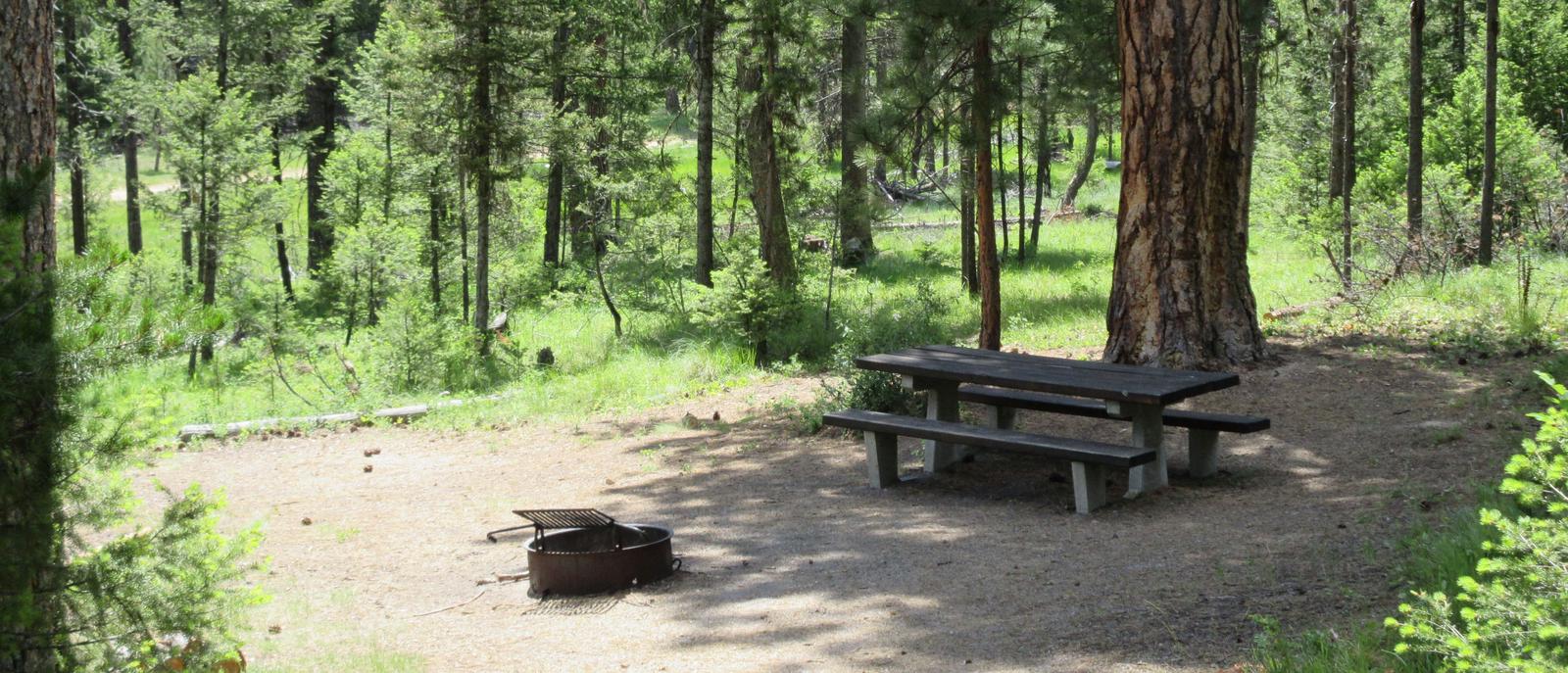 Preview photo of Indian Trees Campground
