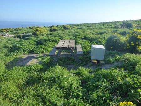 Campsite with picnic table on ocean bluff. SANTA BARBARA ISLAND AREA - 001
