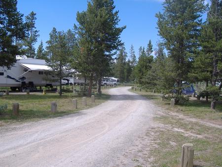 Lonesomehurst Campground road, pine trees, campsites & RV'sLonesomehurst Campground