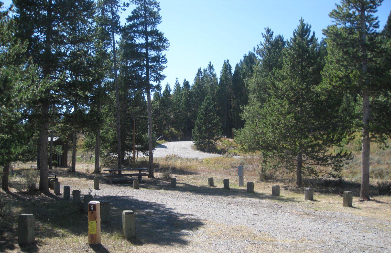 Site 4, campsite surrounded by pine trees, picnic table & fire ringSite 4