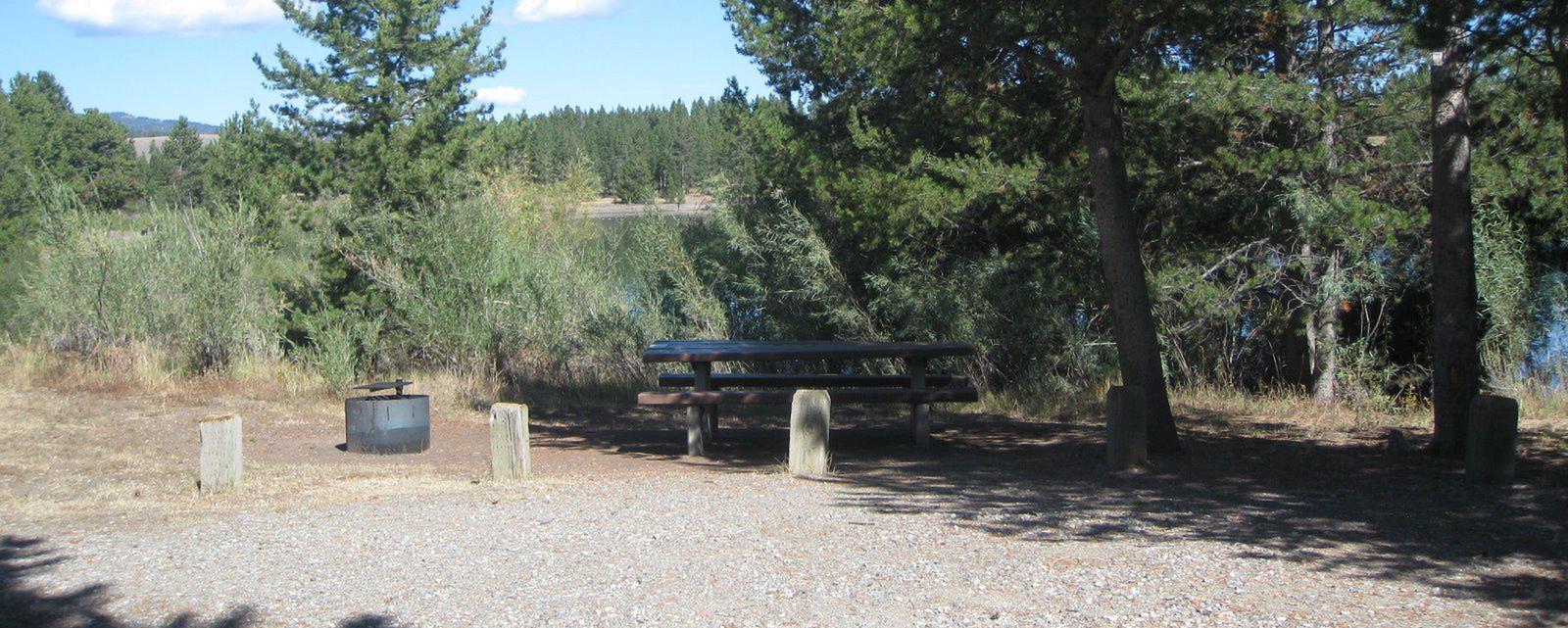 Site 6, campsite surrounded by pine trees, picnic table & fire ringSite 6