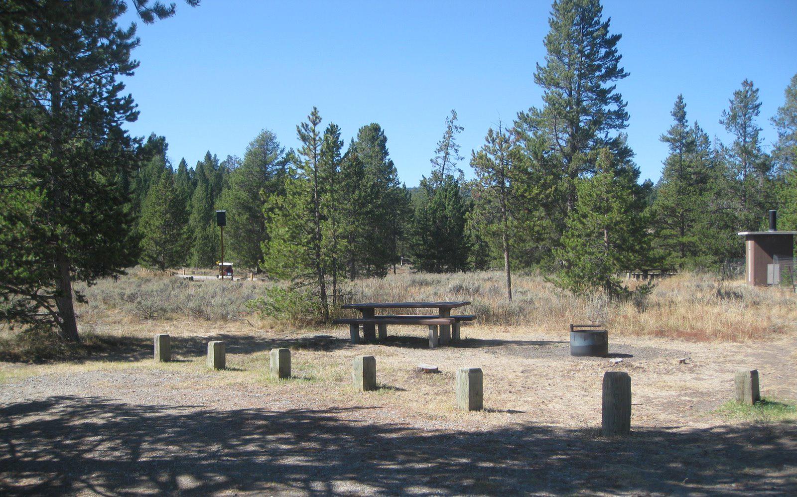 Site 11, campsite surrounded by pine trees, picnic table & fire ringSite 11