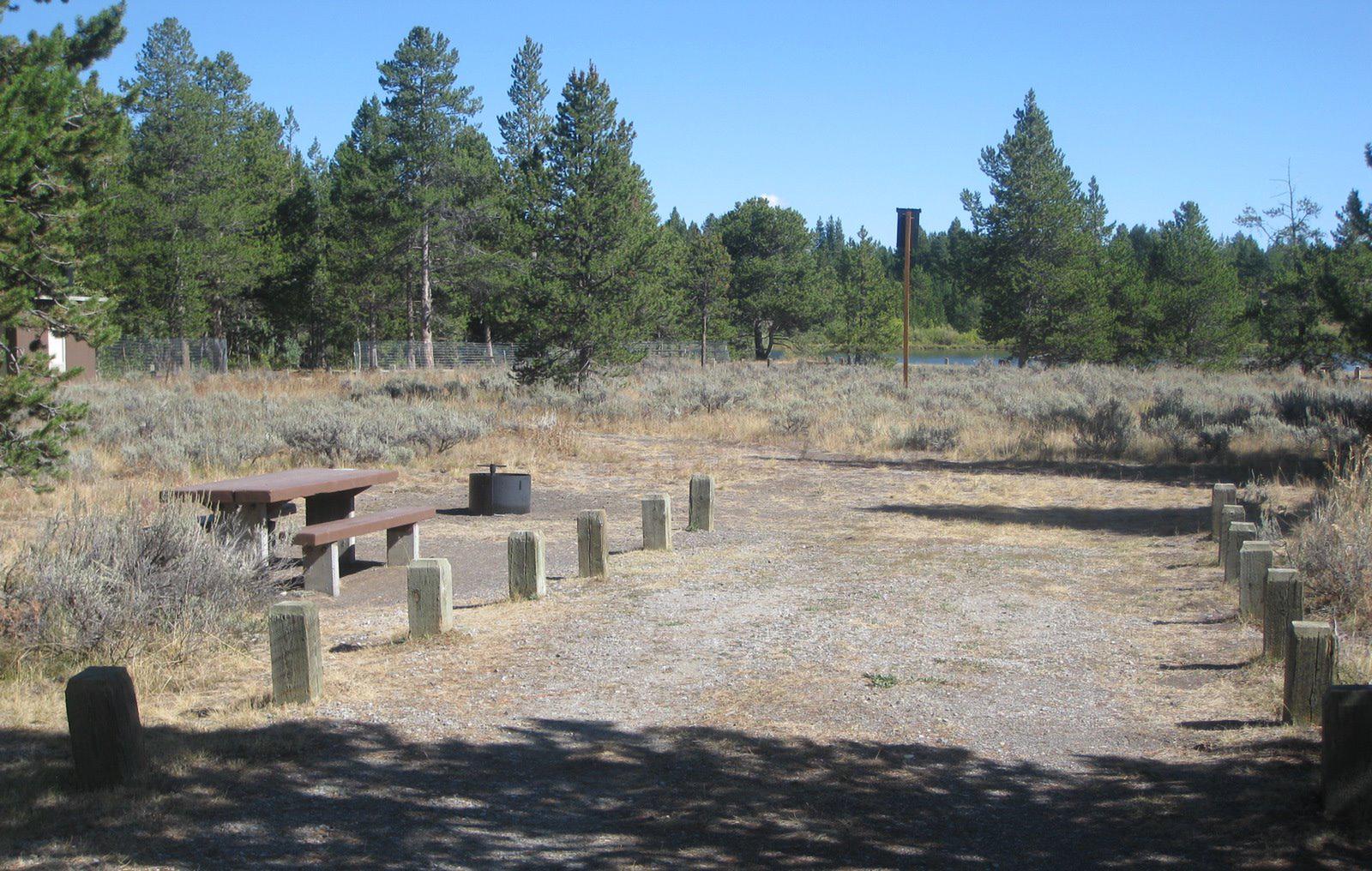 Site 22, campsite surrounded by pine trees, picnic table & fire ringSite 22