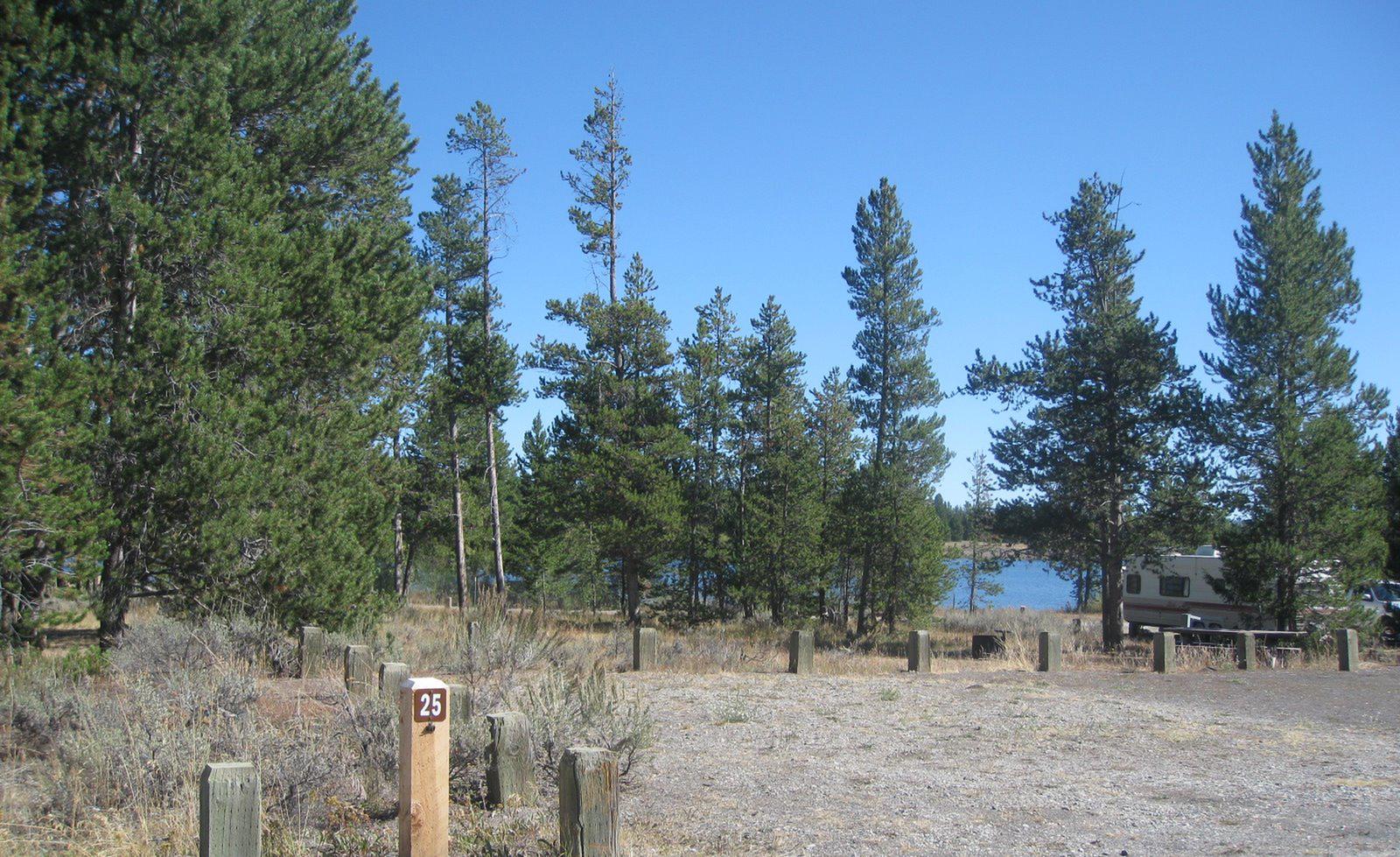 Site 25, campsite surrounded by pine trees, picnic table & fire ringSite 25