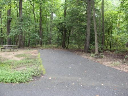 D 157 D Loop of the Greenbelt Park Maryland campground