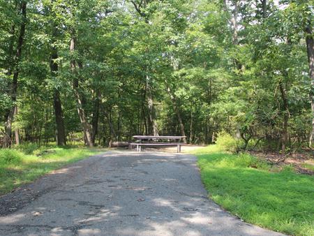 B Loop Site B 55 Greenbelt Park Maryland campground (Previously Site 54)