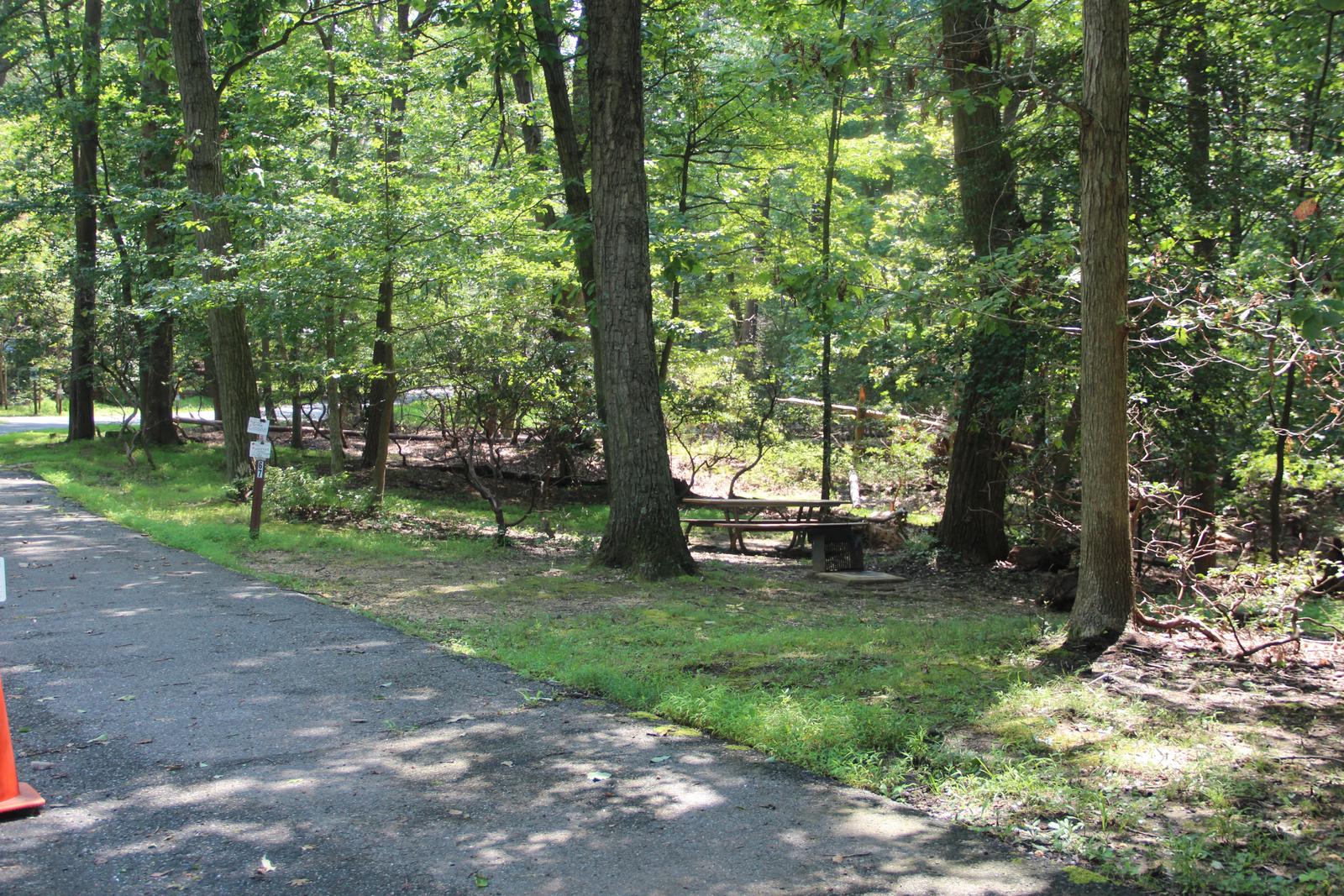 B Loop Site B 66 Greenbelt Park Maryland campground (Same site -Previously Site 67)