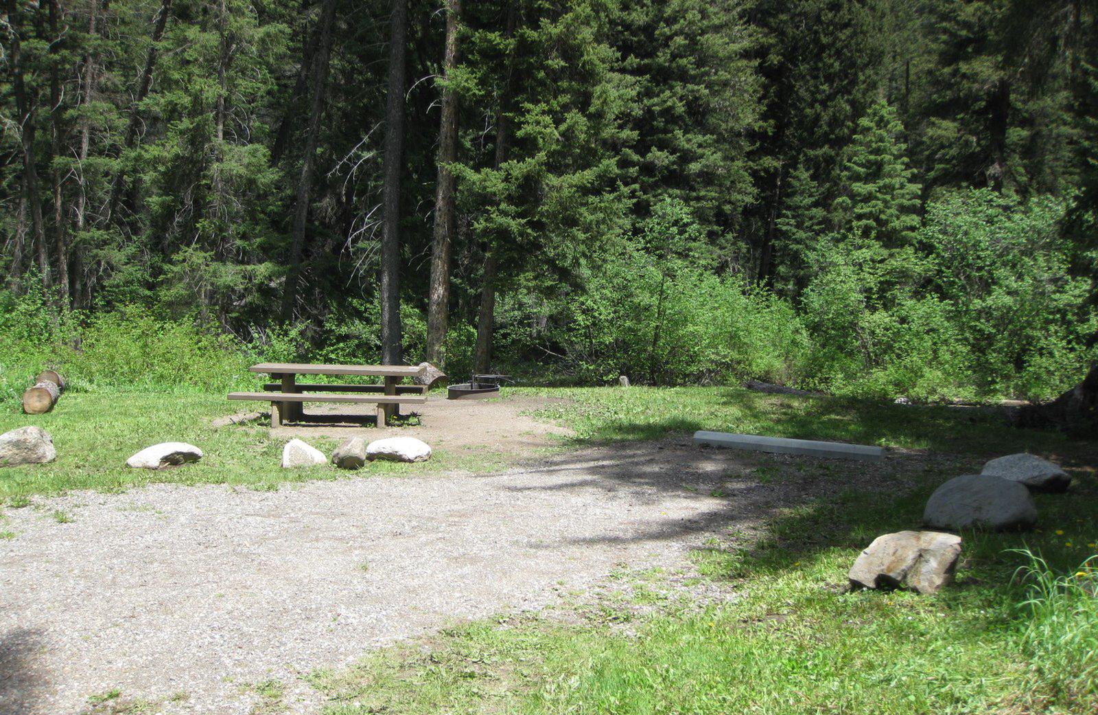 Site 5, campsite surrounded by pine trees, picnic table & fire ringSite 5