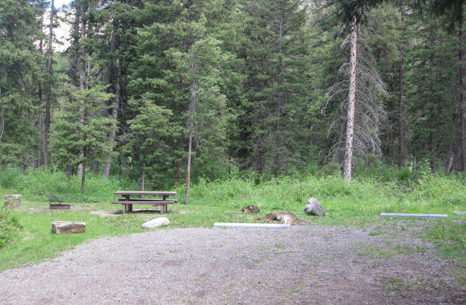 Site 6, campsite surrounded by pine trees, picnic table & fire ringSite 6