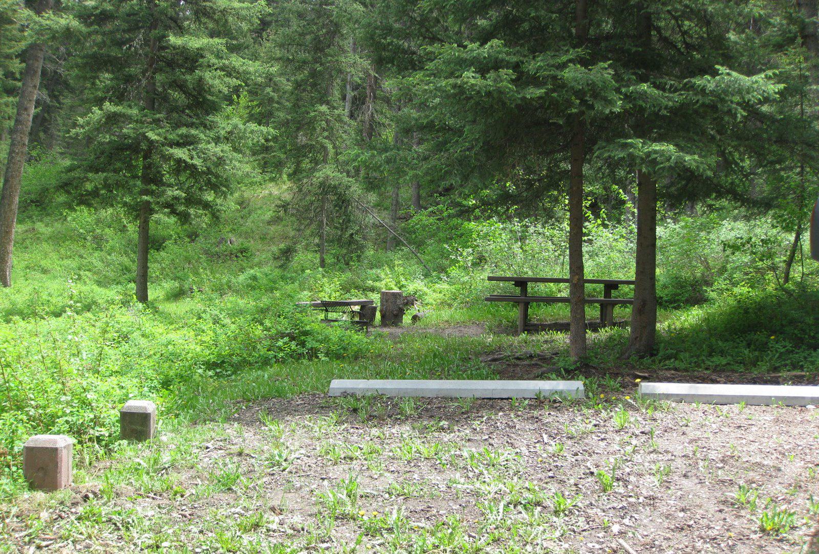 Site 3, campsite surrounded by pine trees, picnic table & fire ringSite 3