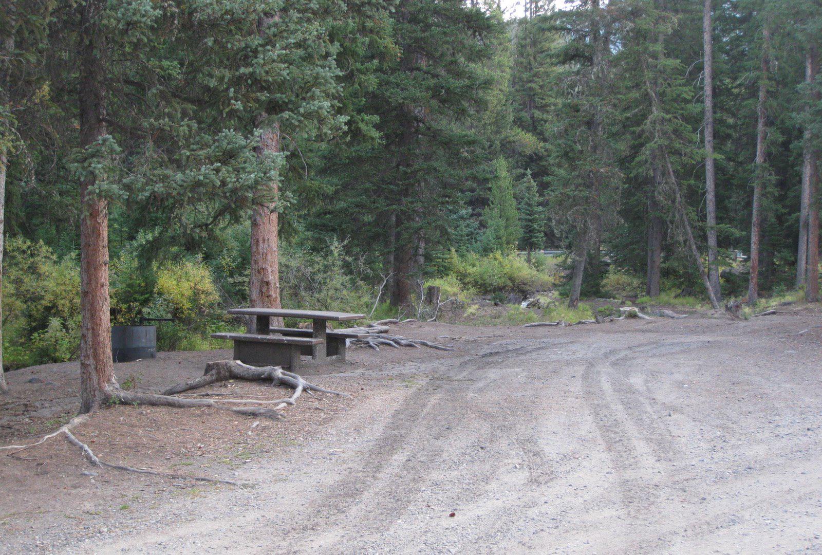 Site 1, campsite surrounded by pine trees, picnic table & fire ringSite 1