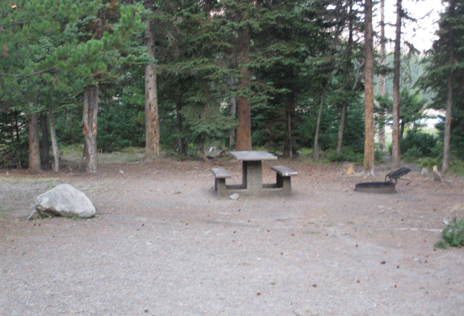 Site 5, campsite surrounded by pine trees, picnic table & fire ringSite 5