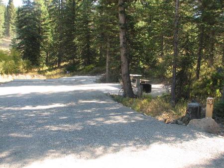 Site 16, campsite surrounded by pine trees, picnic table & fire ringSite 16