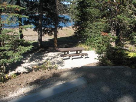 Site 26, campsite surrounded by pine trees, picnic table & fire ringSite 26