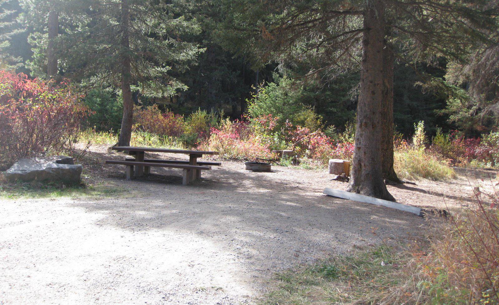 Site 2, campsite surrounded by pine trees, picnic table & fire ringSite 2