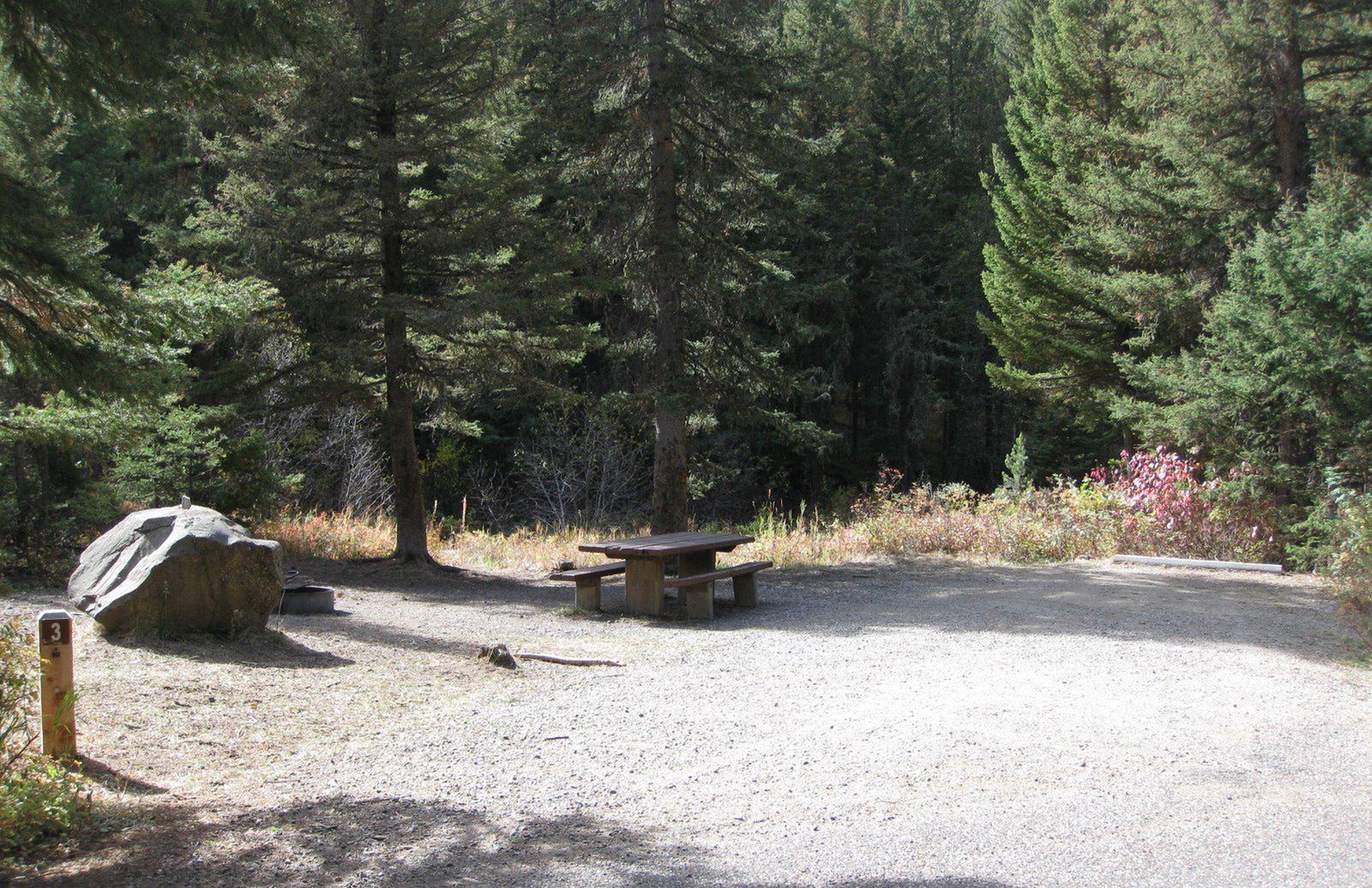 Site 3, campsite surrounded by pine trees, picnic table & fire ringSite 3