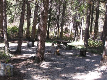 Site 10, campsite surrounded by pine trees, picnic table & fire ringSite 10