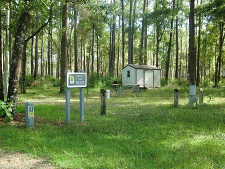 Host Site at Wright Lake Campground