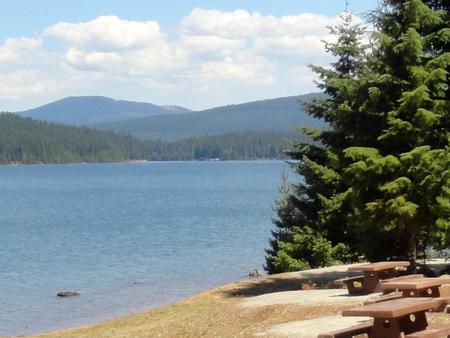 Preview photo of Pine Point (Timothy Lake, OR)