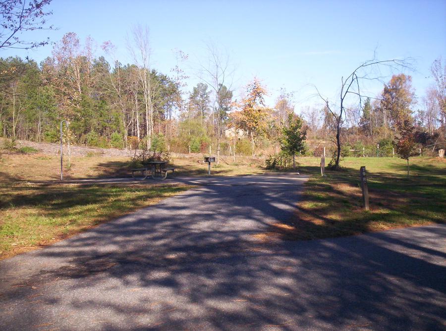 Escape to Serenity: Unwind at Georgia's Bald Ridge Creek State Park