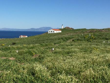 Picnic table and metal food storage box on terrace overlooking ocean, two buildings and lighthouse. Anacapa Island