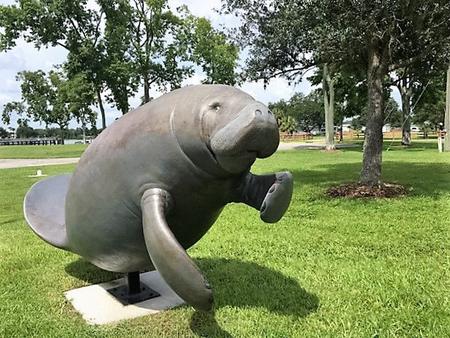 Manatee Statue in front of Visitor Center