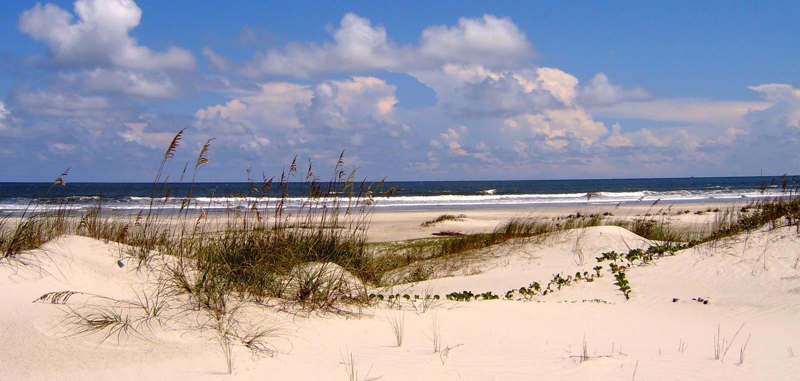 undeveloped beach complete with sea oat covered dunes, light sands, blue sky, and crashing wavesCumberland Island is home to 17 miles of undeveloped beach offering excellent opportunities for beach combing, swimming, photography, and solitude. 