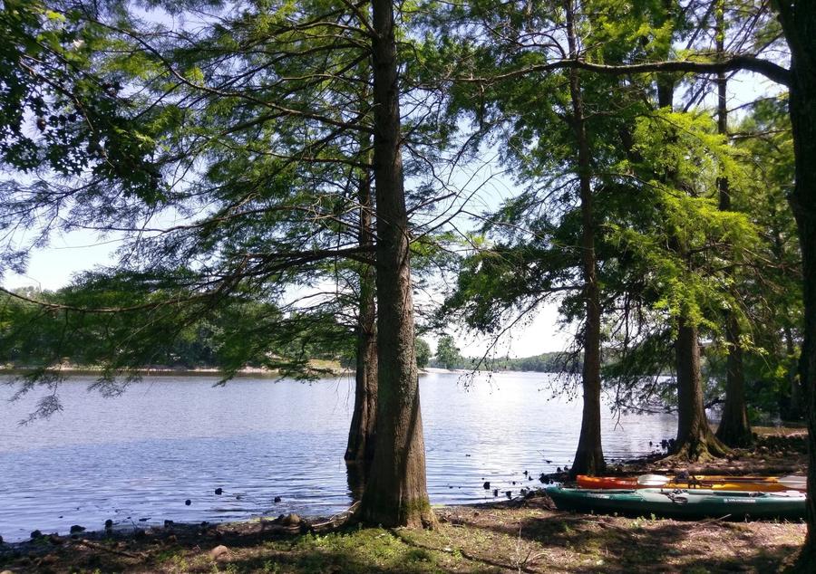 Rend Lake, Illinois Recreation.gov