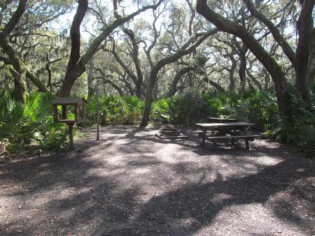 campsite with picnic table, food cage, and fire ring under live oak treesSea Camp site 1