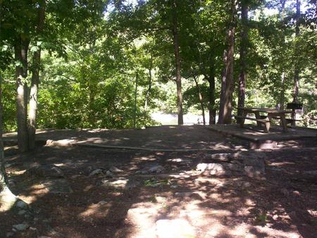 Flat dirt site, picnic table. Sawnee site 6