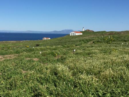 Grassy terrace overlooking ocean, two buildings and lighthouse. Anacapa Island