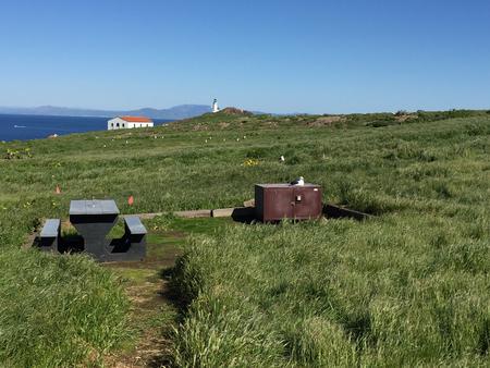 Picnic table and metal food storage box on terrace overlooking ocean, two buildings and lighthouse. ANACAPA ISLAND AREA - 007
