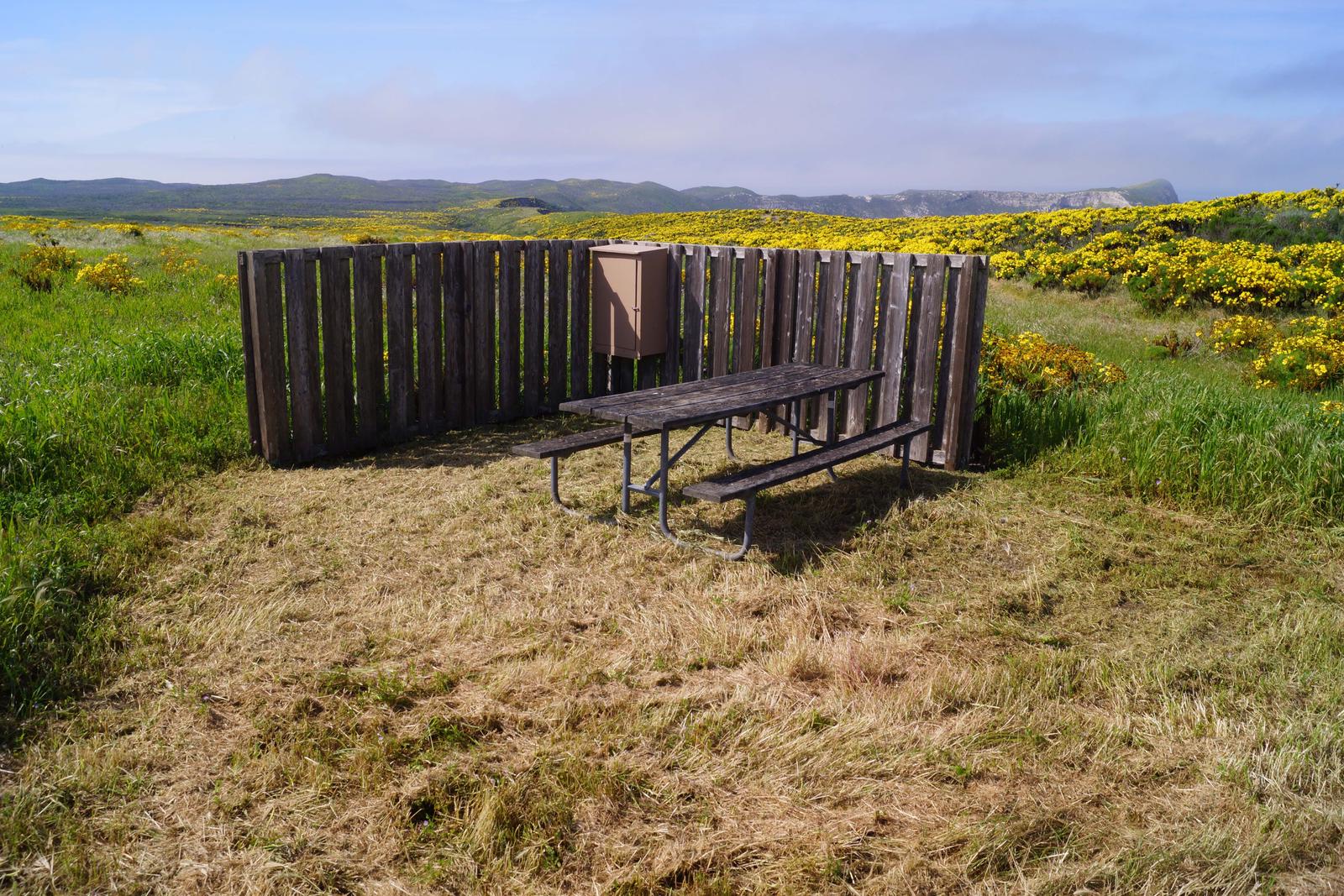 Picnic table and windbreak surrounded by grass and yellow flowered plant. SAN MIGUEL ISLAND AREA - 006
