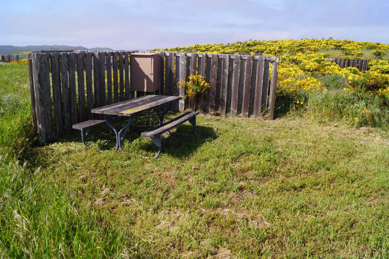 Picnic table and windbreak surrounded by grass and yellow flowered plant.  SAN MIGUEL ISLAND AREA - 008
