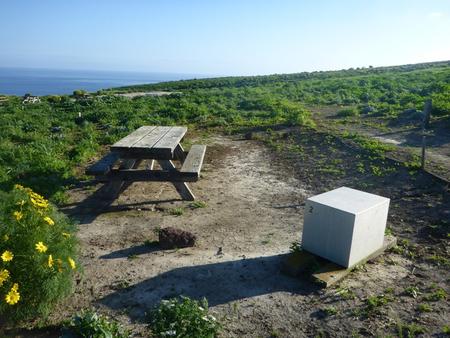 Picnic table and food storage box surrounded by bushes overlooking ocean.  SANTA BARBARA ISLAND AREA - 002
