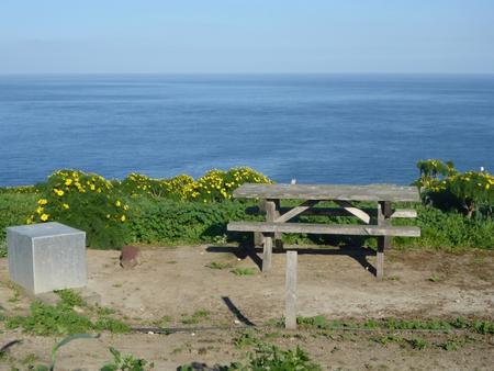 Picnic table and food storage box surrounded by low bushes and grass overlooking ocean.  SANTA BARBARA ISLAND AREA - 002

