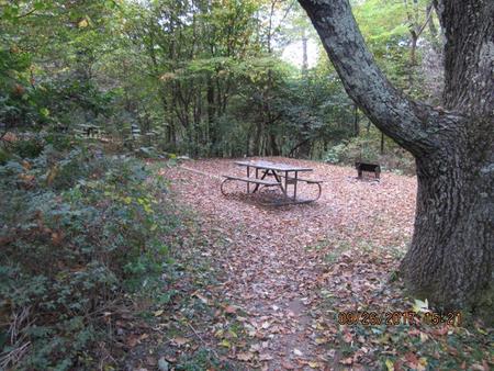 Loft Mountain Campground - Site 7Picnic table and fire pit on campsite