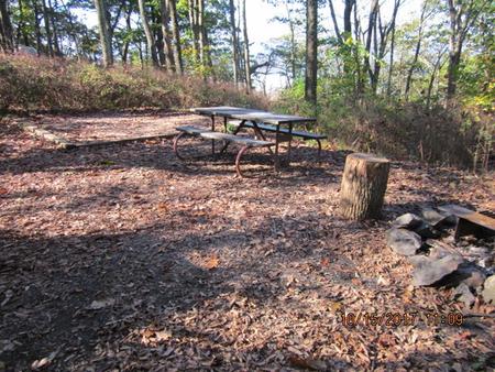 Loft Mountain Campground - Site 16Picnic table  and fire pit on campsite