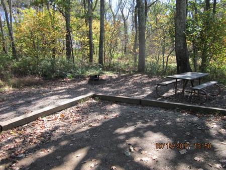 Loft Mountain Campground - Site 20Picnic table and fire pit on campsite