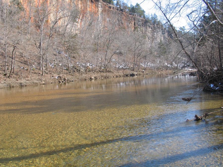 Louisiana Red Bluff Campground: Where the River Meets the Pines